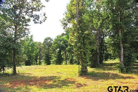 805 Stone Chimney Rd. (Lot 4 CR 3608) Bullard TX 75757