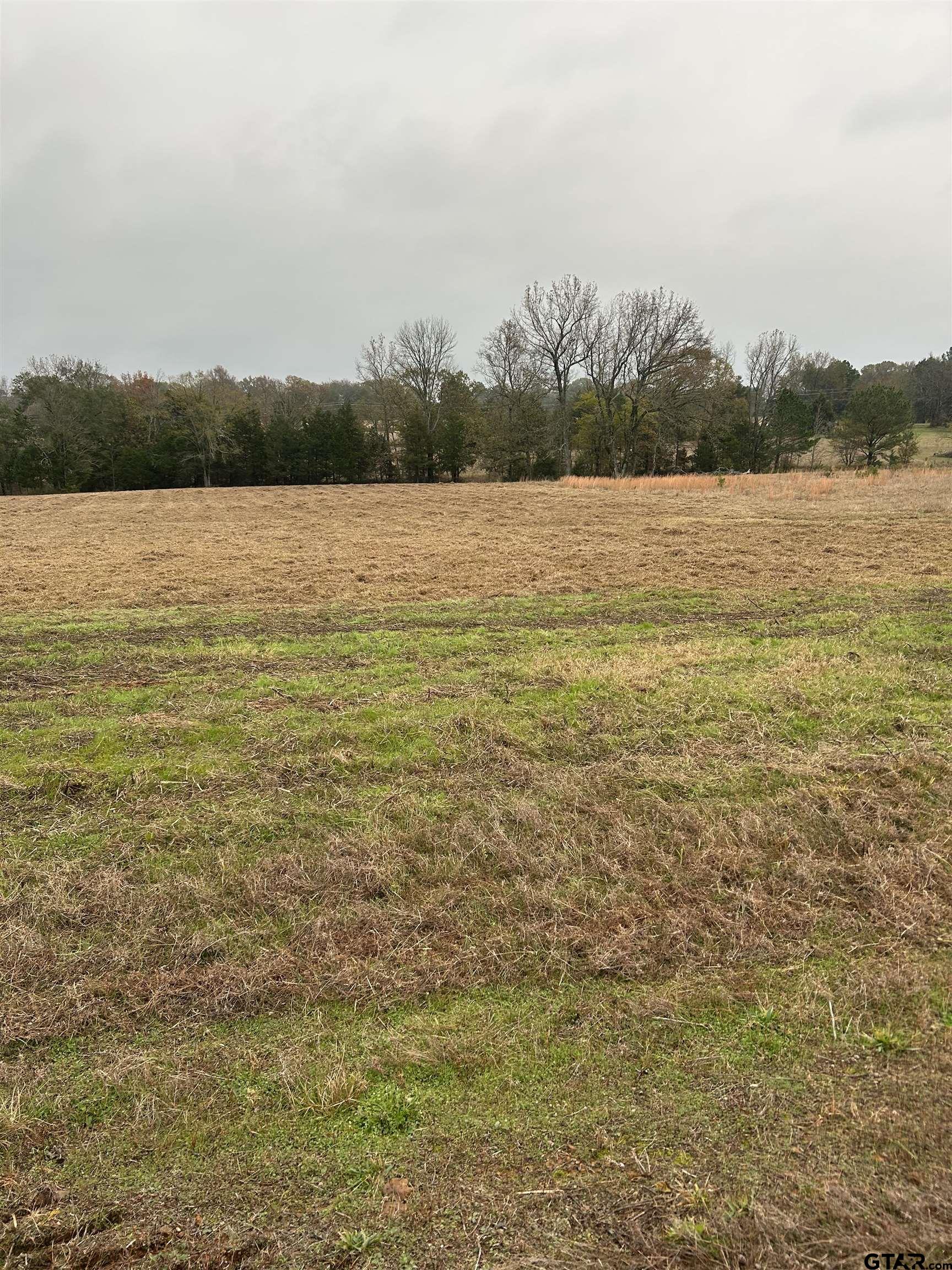 12729 Ridgeway Court