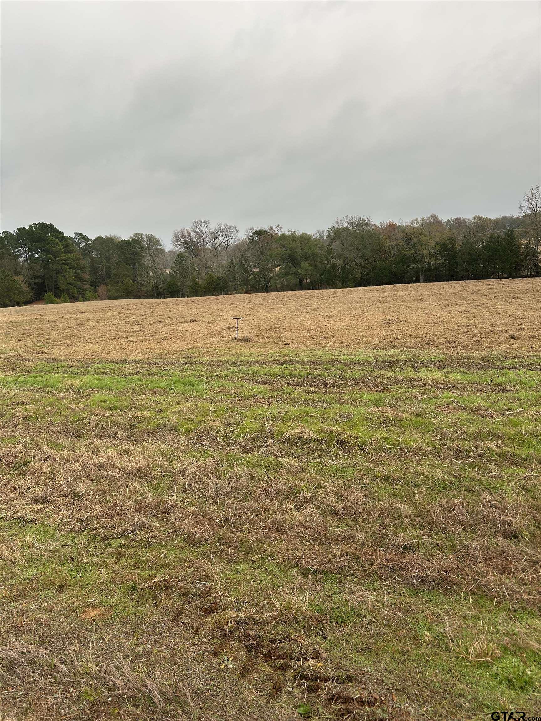 12729 Ridgeway Court