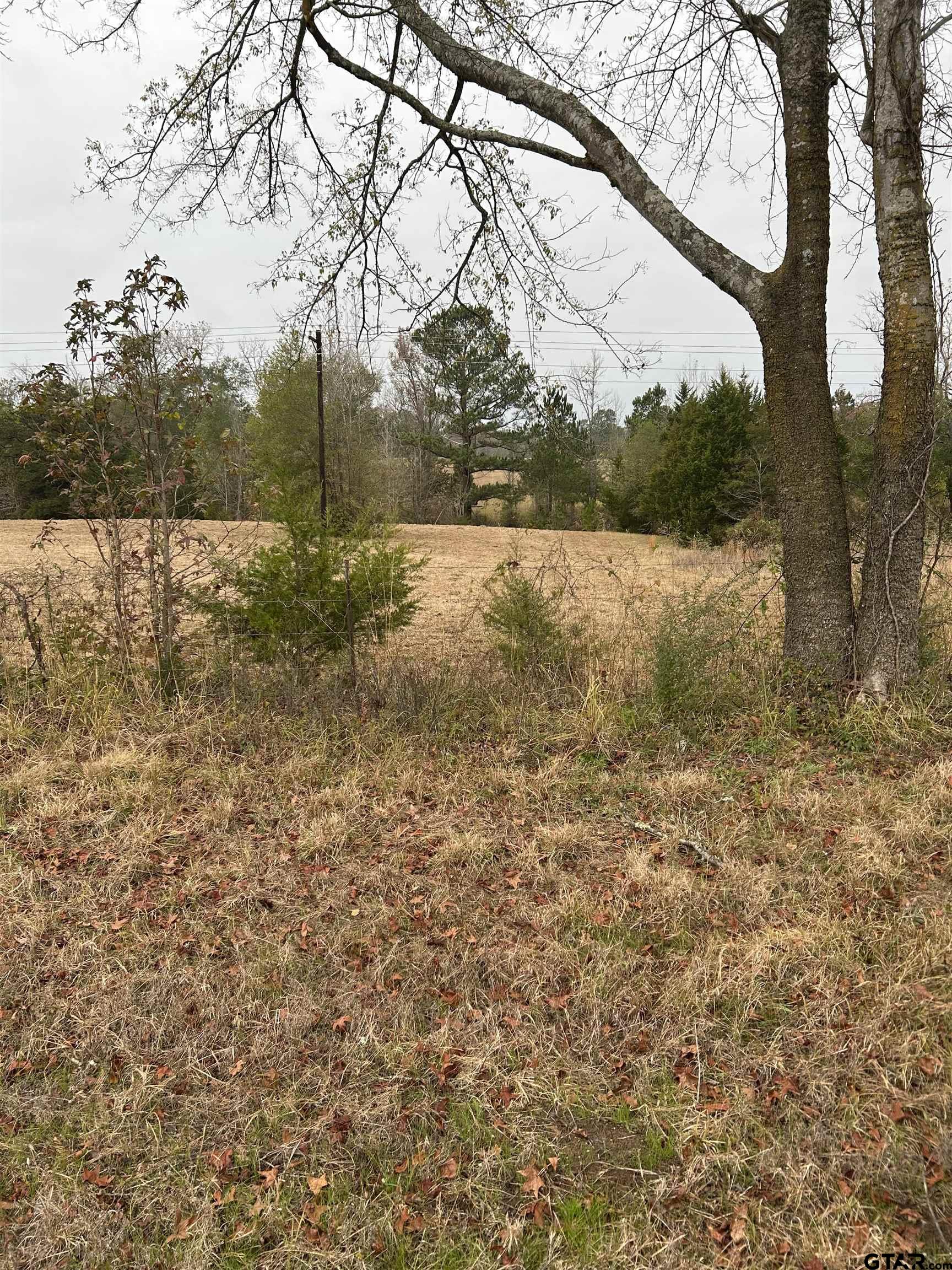 12729 Ridgeway Court