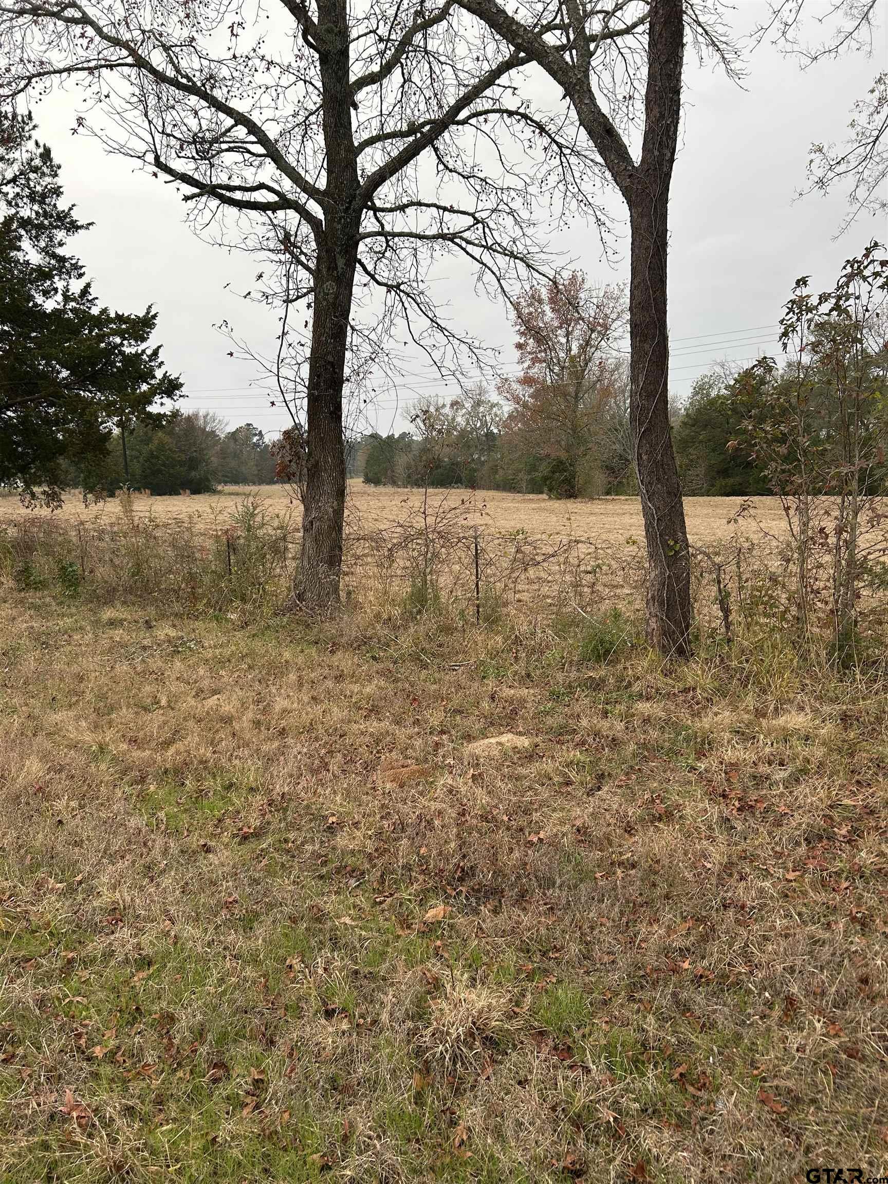 12729 Ridgeway Court