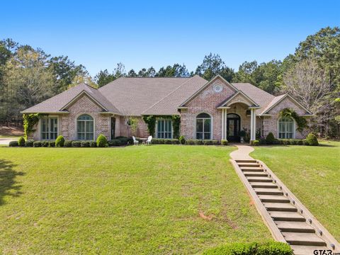 481 AN COUNTY ROAD 4035 Palestine TX 75803