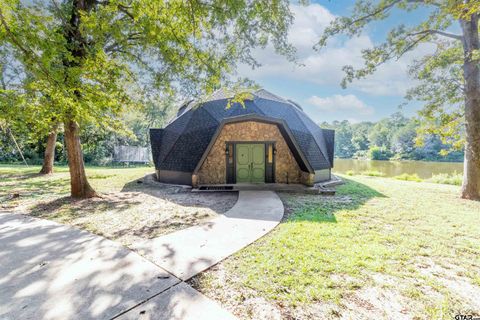 2447 cr 1147 Tyler TX 75704