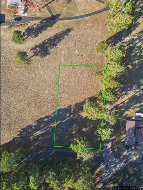 TBD Lot 1 CR 2749 & CR 2745 Mineola TX 75773