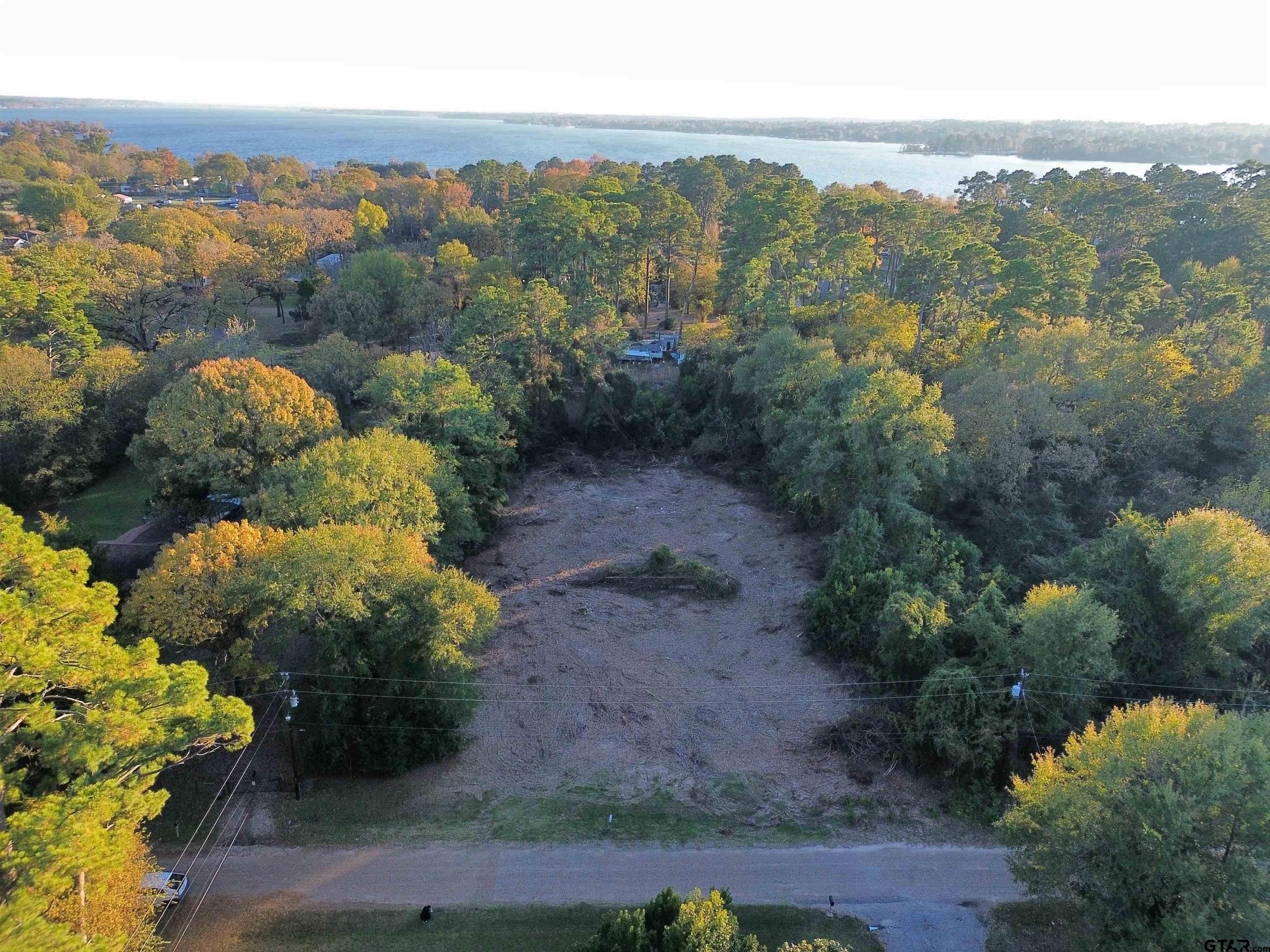 Photo 1 of 16 — 21194 Sylvan Ln, Chandler, TX 75758