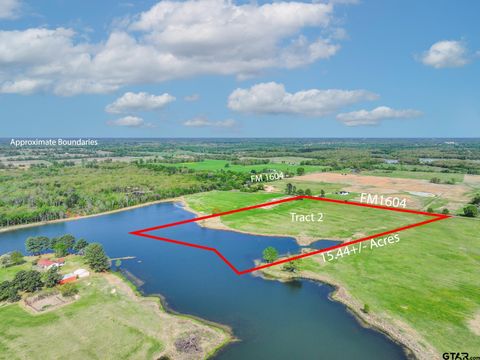 Lot 2 VZ County Road 1604 Grand Saline TX 75140