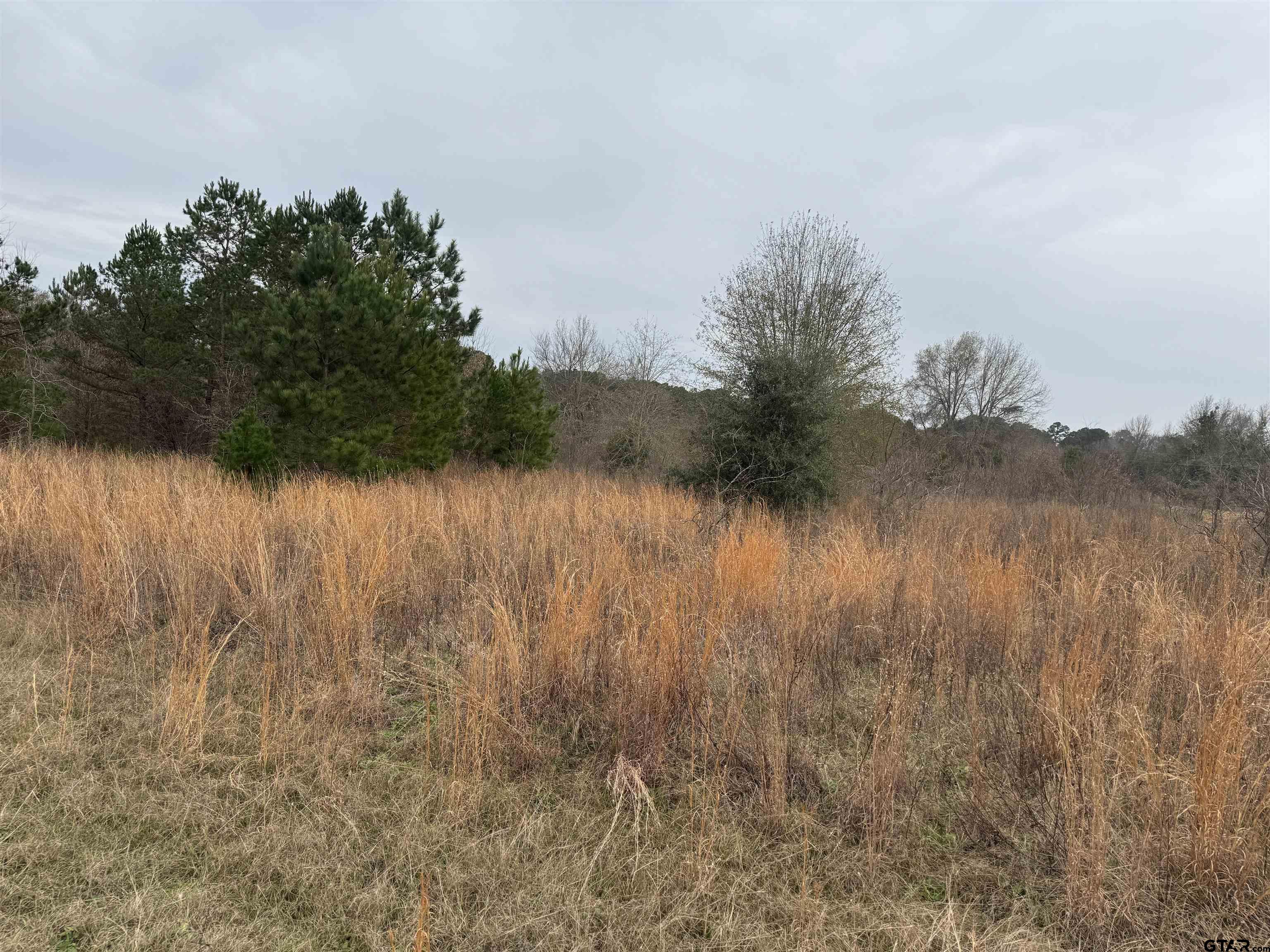 1335 San Saba