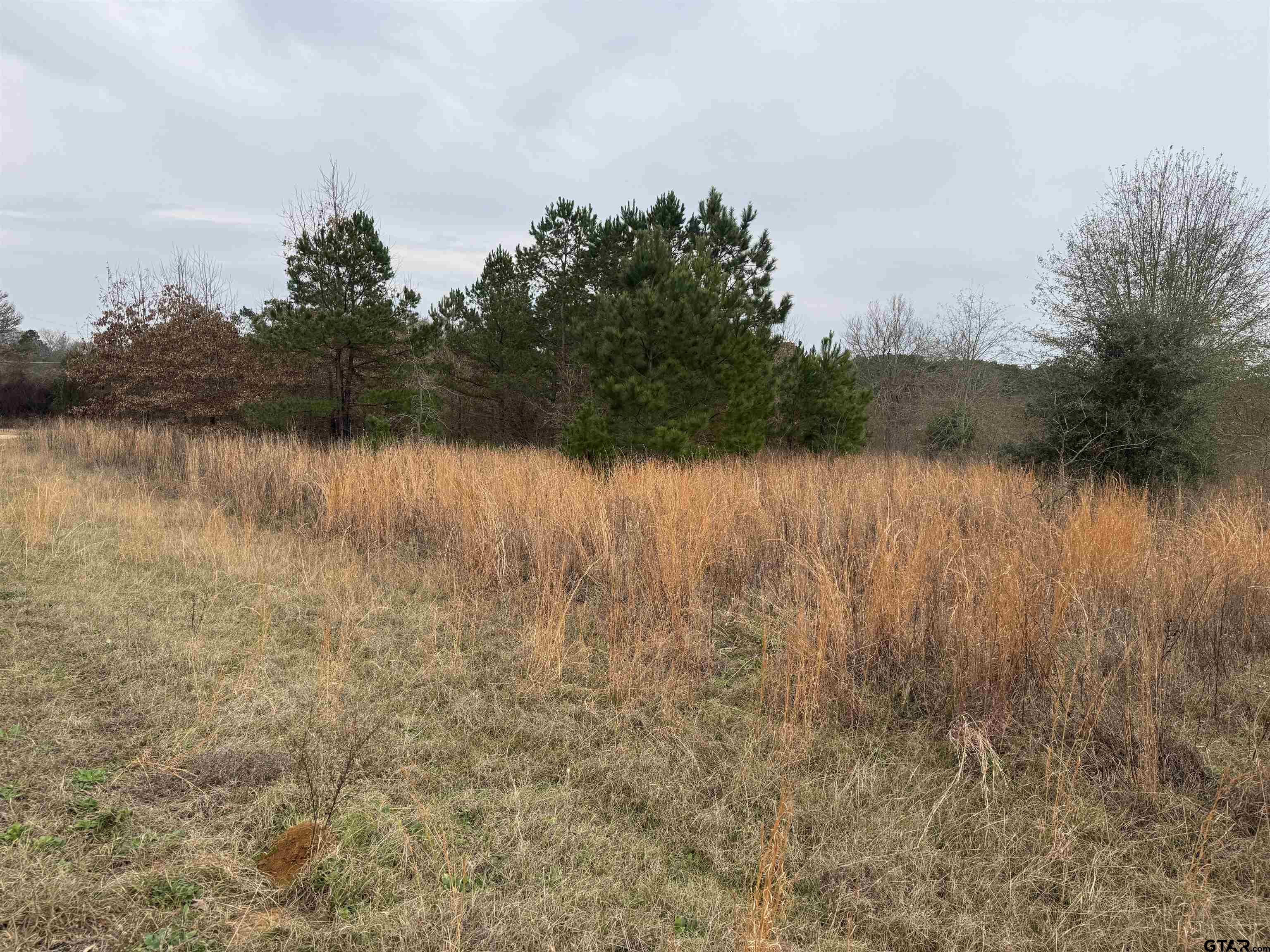 1335 San Saba