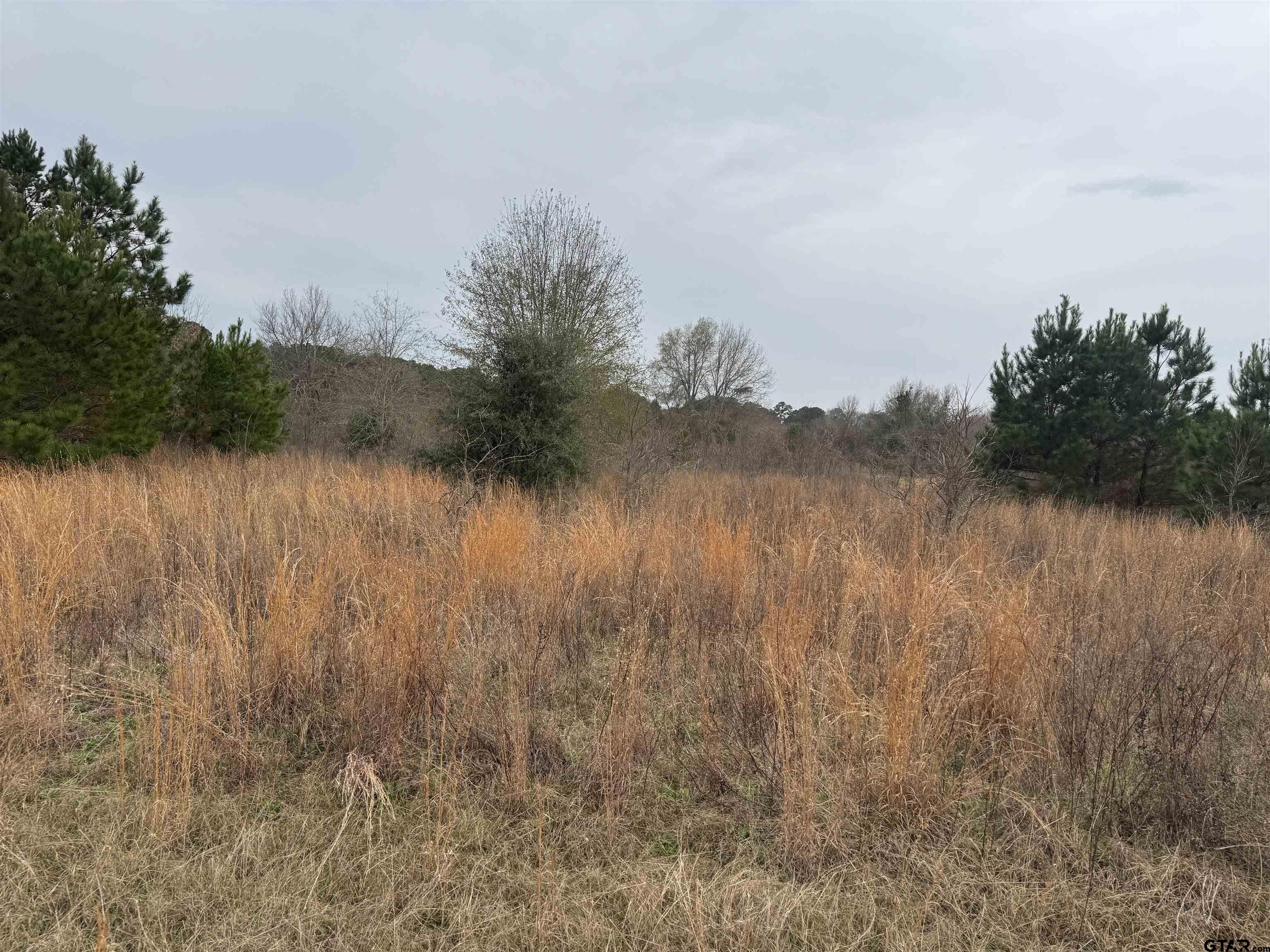 1335 San Saba