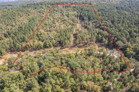 1305 Jackson Dr & TBD Hwy 110 Rusk TX 75785