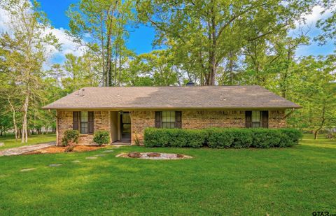 2987 CR 1596 Avinger TX 75630