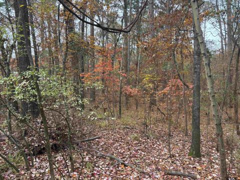 TBD Porsche Dr Flint TX 75762