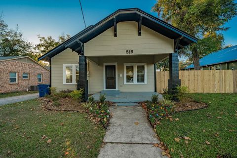 515 N Newsom Mineola TX 75773