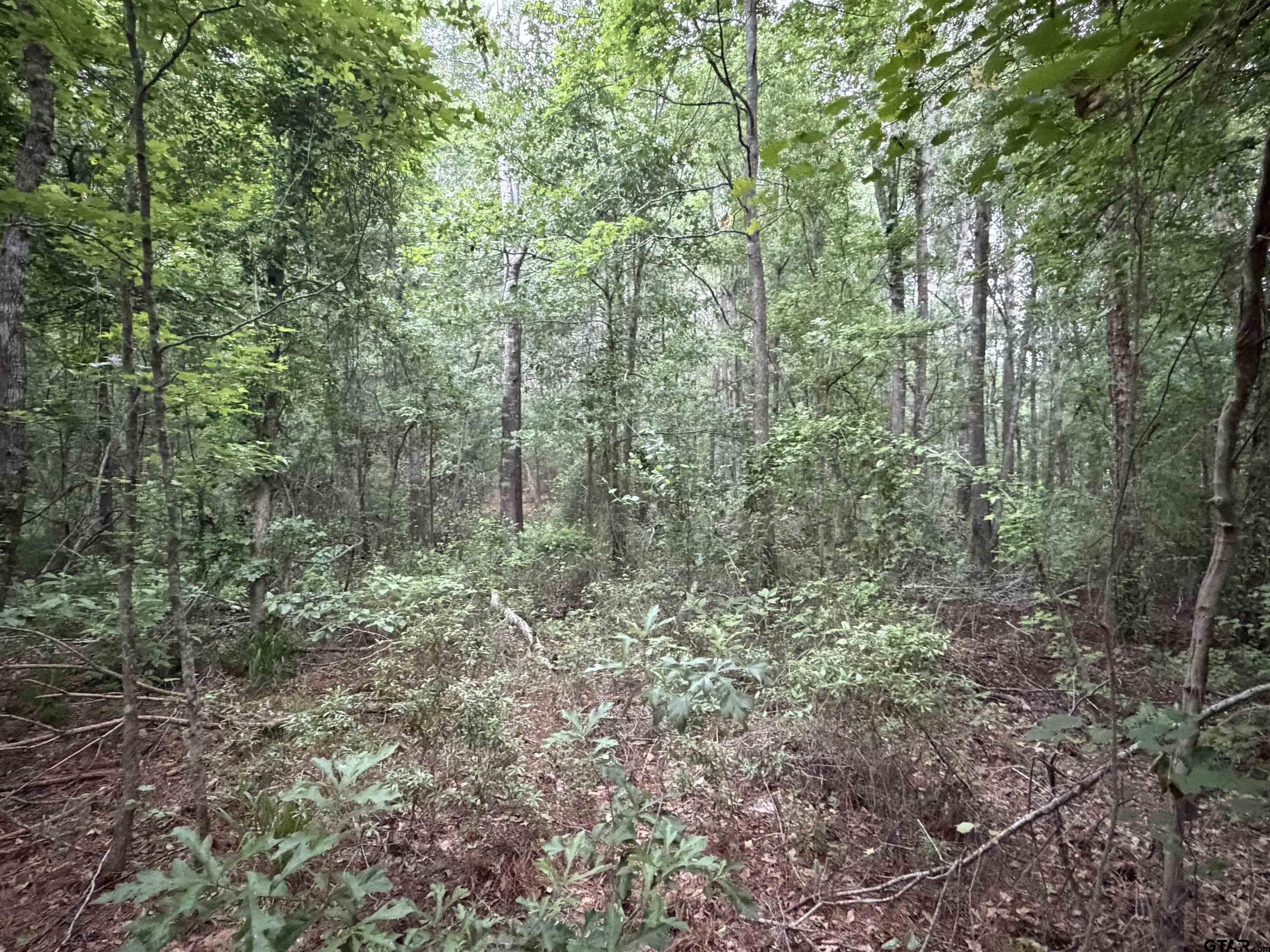 000B County Road 1204
