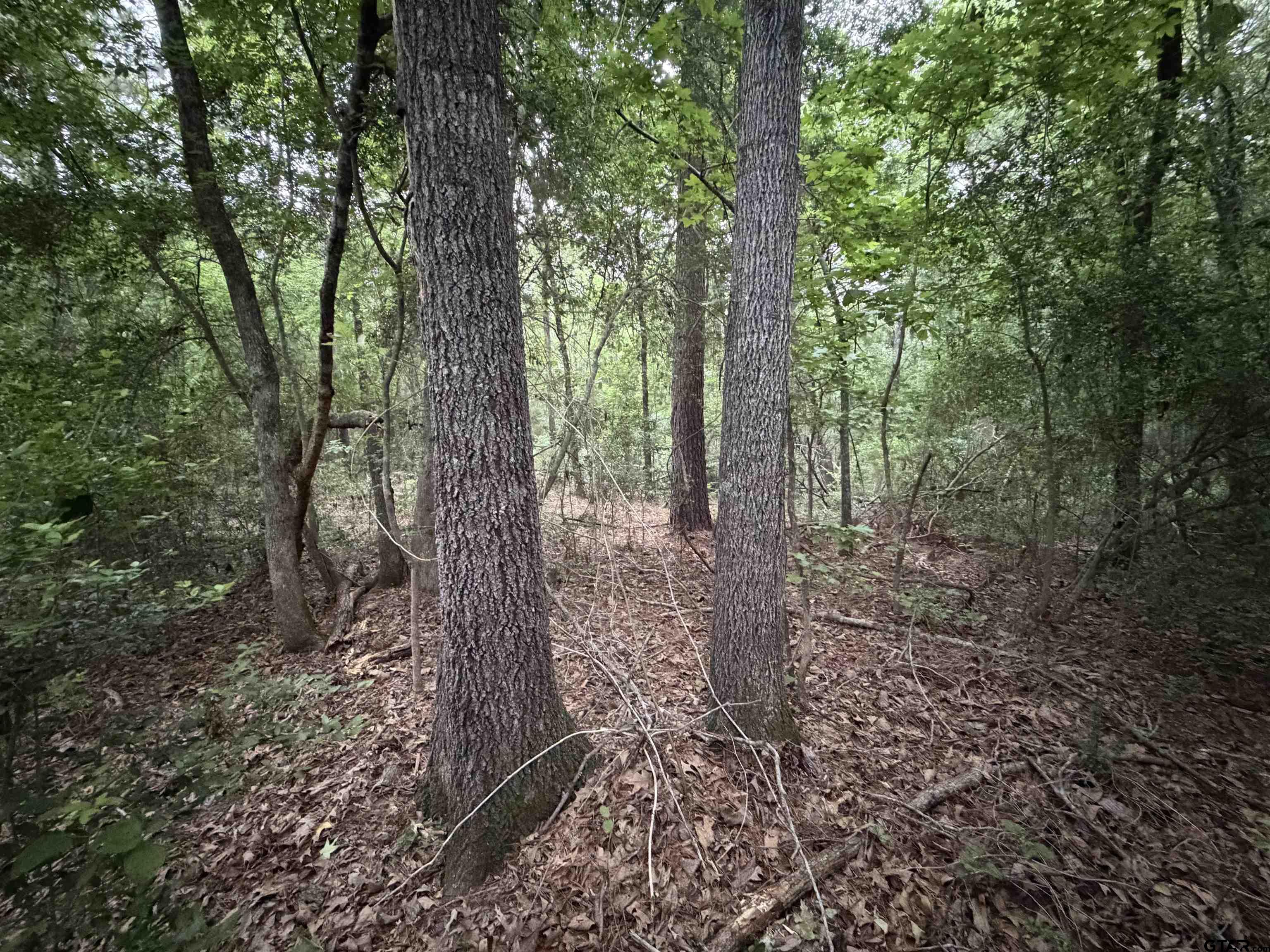 000B County Road 1204