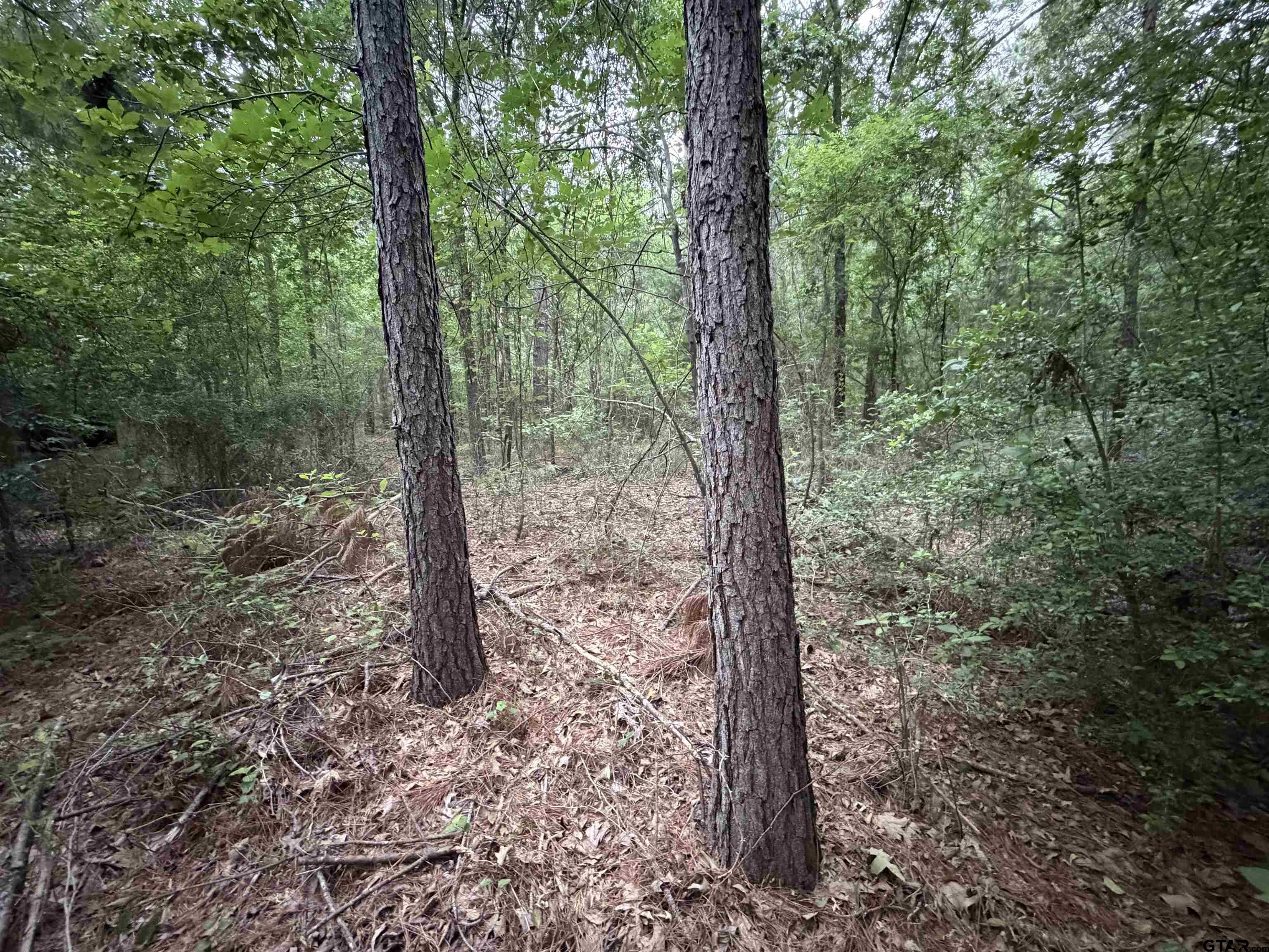 000B County Road 1204