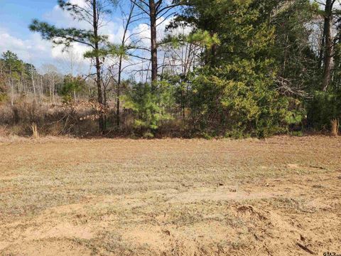 TBD CR 2312 Pittsburg TX 75686