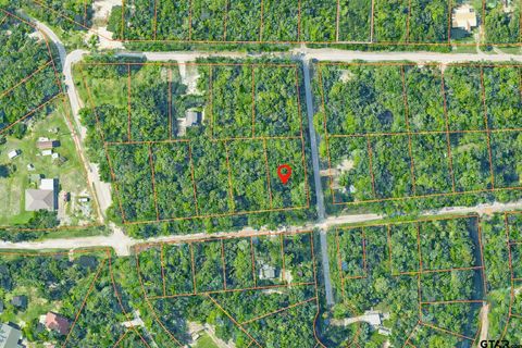 1430 Woodhue Dr Bullard TX 75757