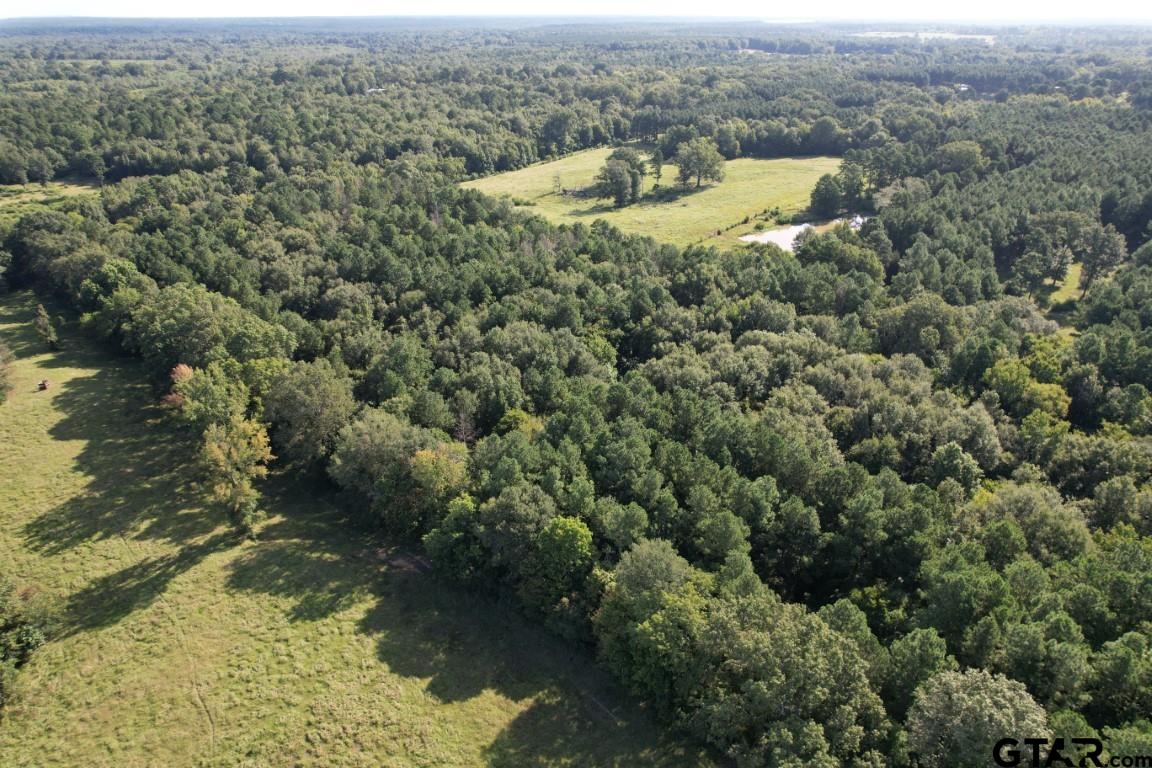 Photo 1 of 37 — TBD County Road 168-1, Long Branch, TX 75669