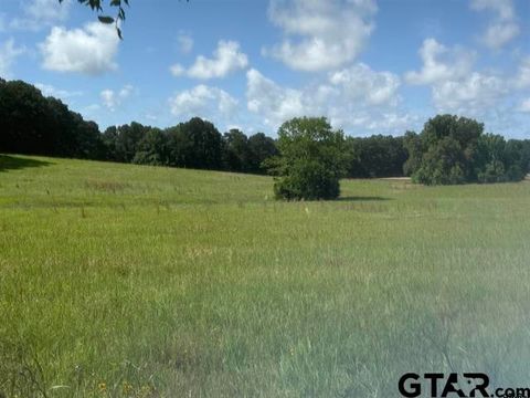 TBD CR 4194 Tr 1-3 Henderson TX 75654