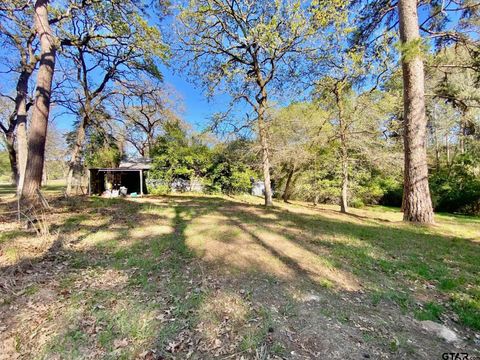 361 Beaver Run Grapeland TX 75844