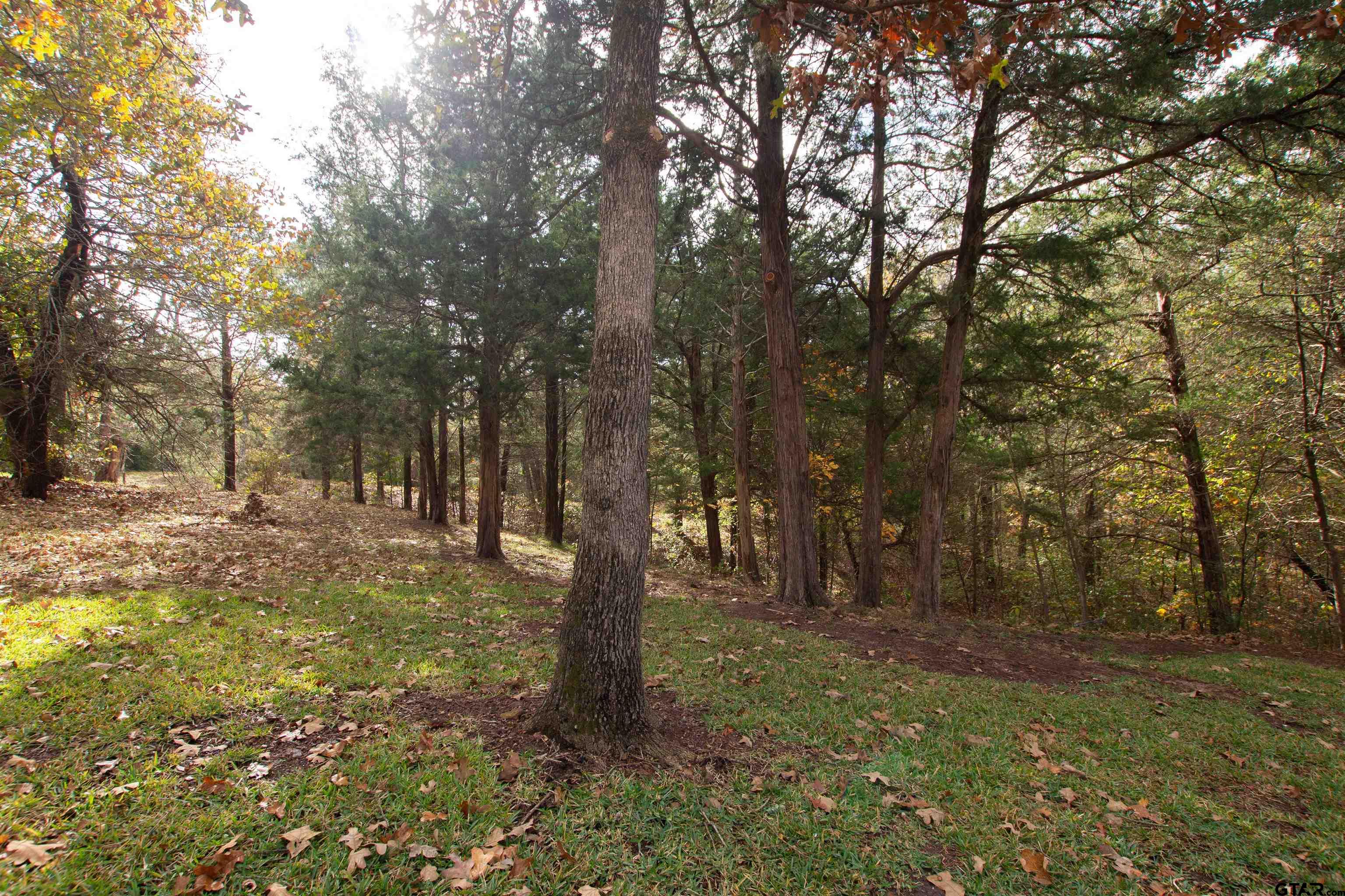 128 Lake Lou Ella Dr