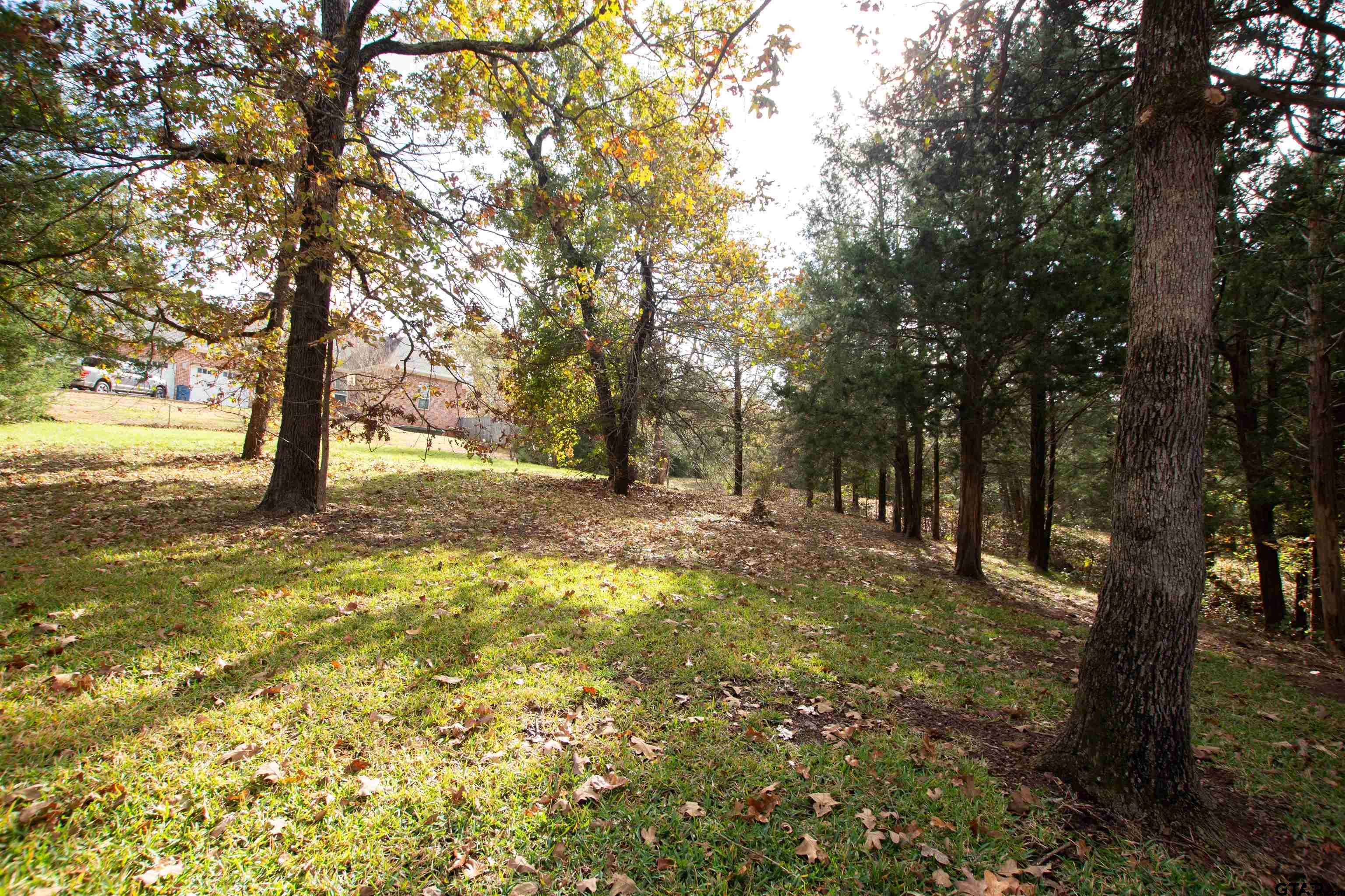 128 Lake Lou Ella Dr