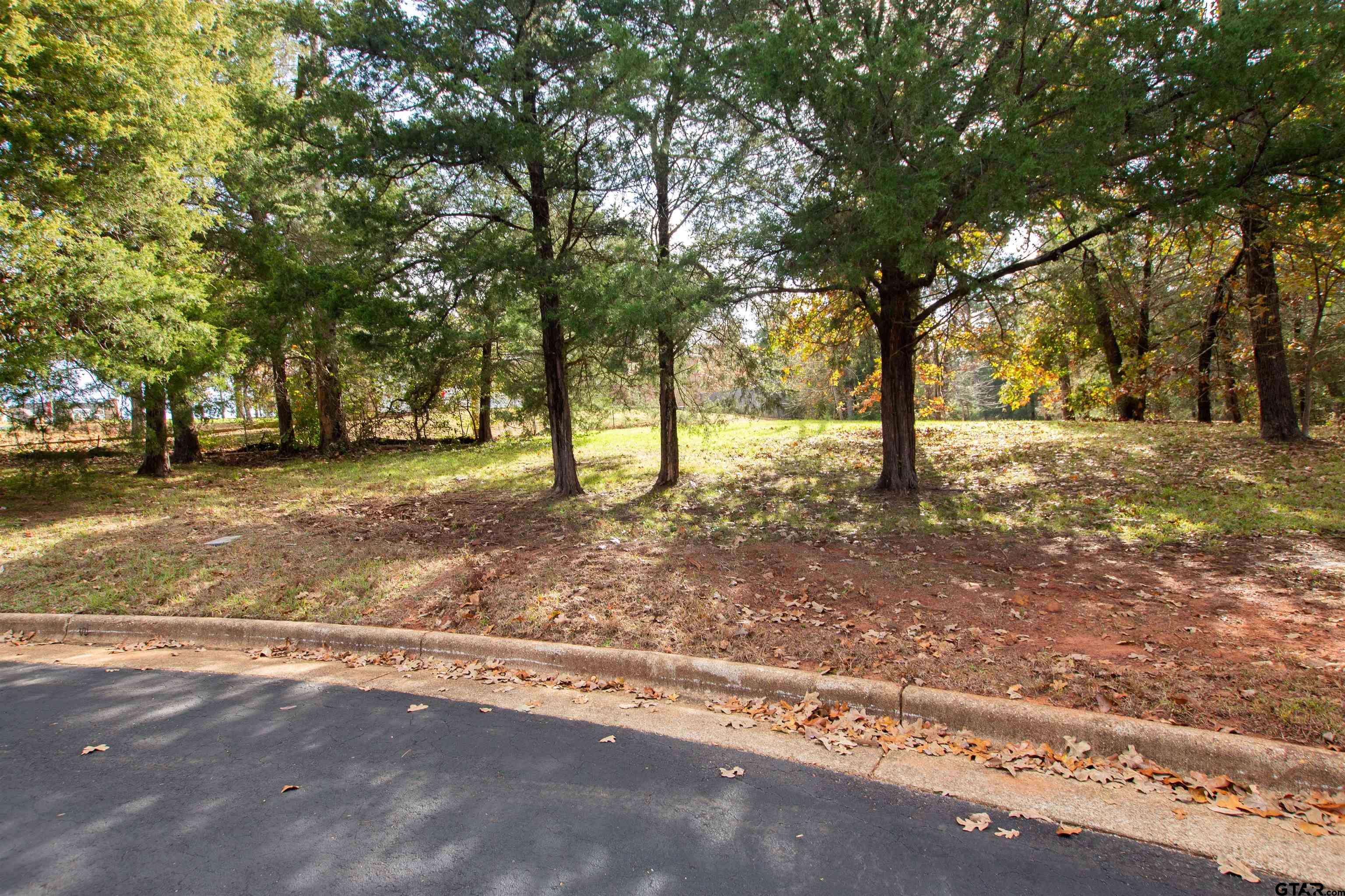 128 Lake Lou Ella Dr