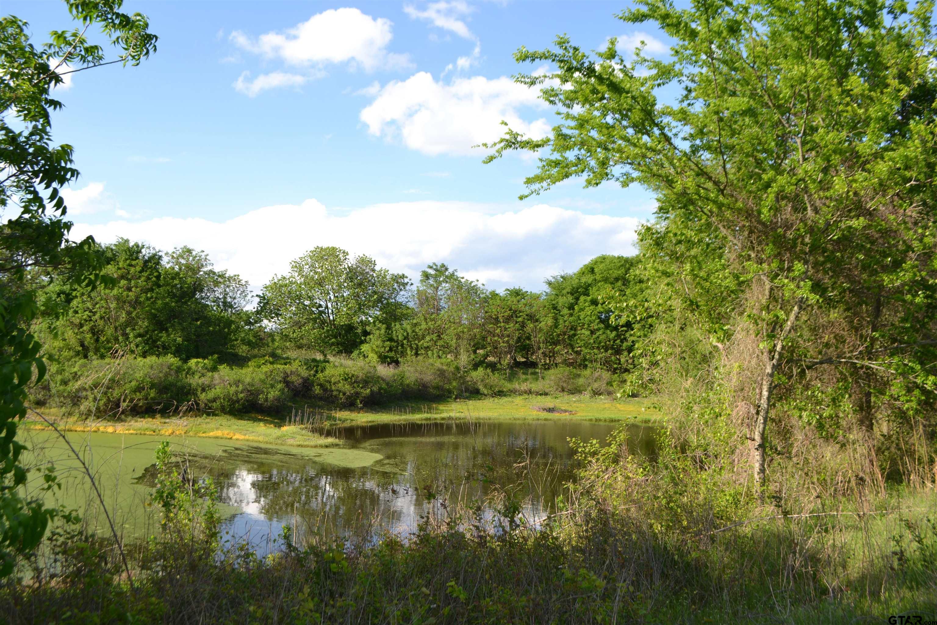 TBD County Road 1300