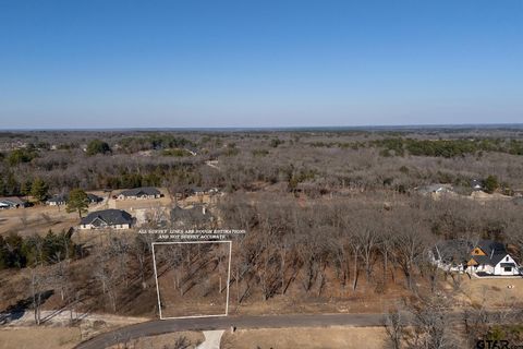 TBD PR 6305 LOT of 48 Mineola TX 75773