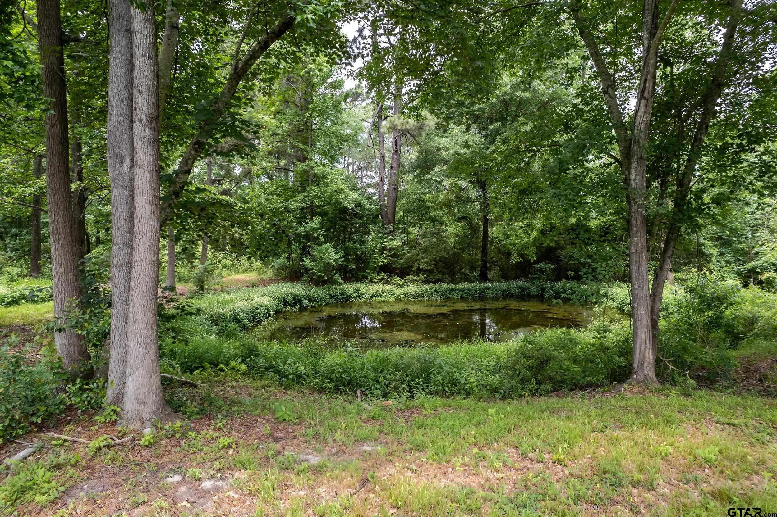 Lot 3 Castleberry St