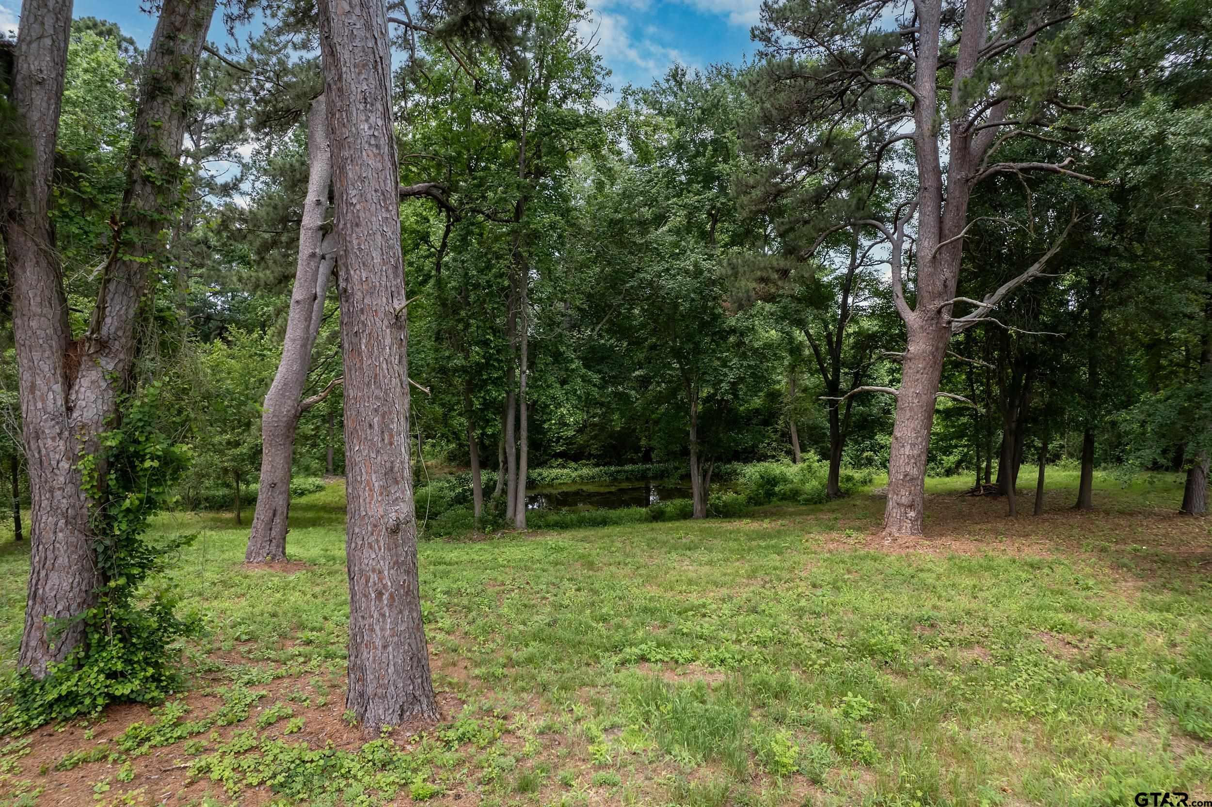 Lot 3 Castleberry St