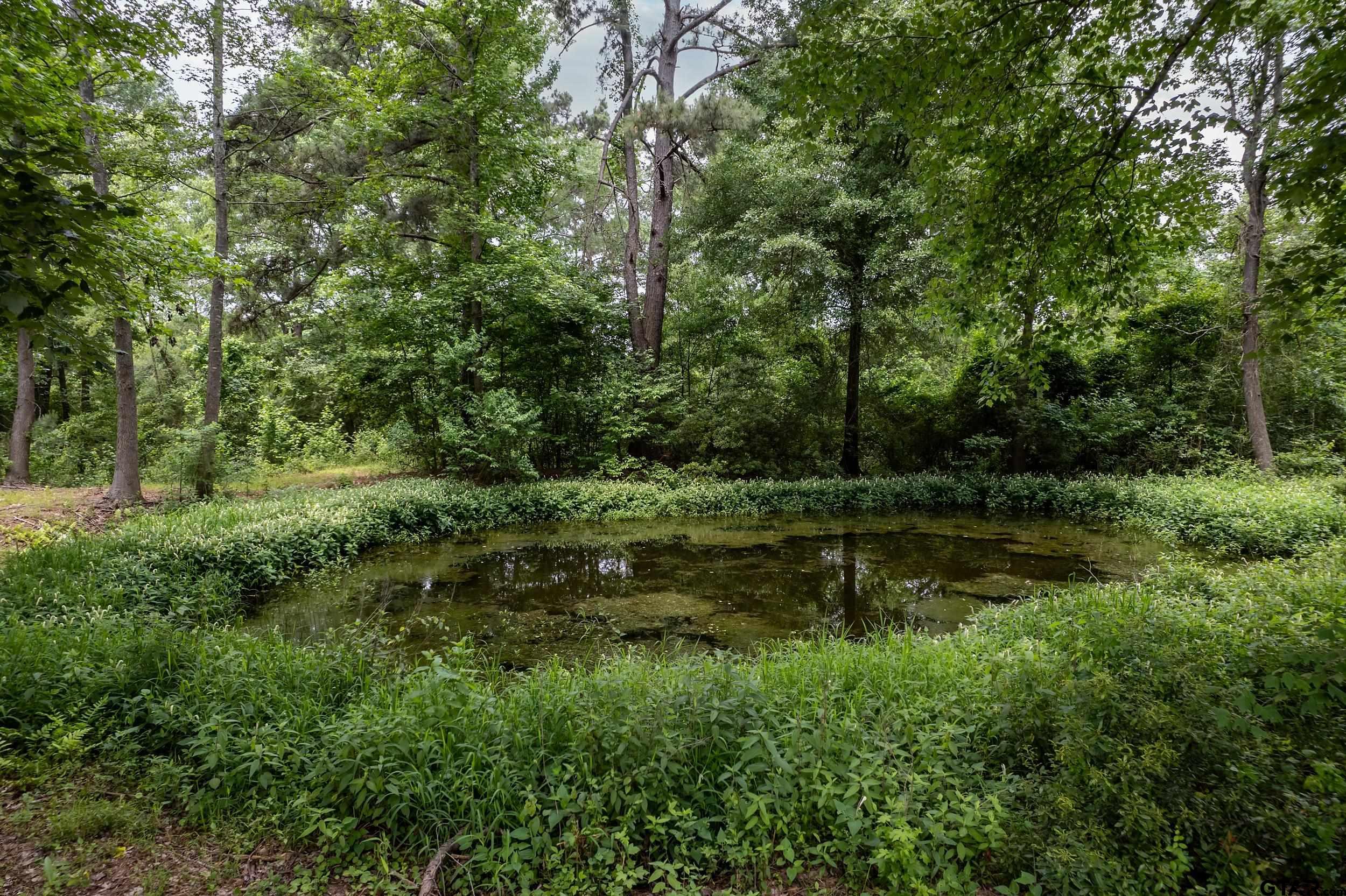 Lot 3 Castleberry St