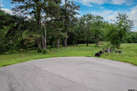 Lot 3 Castleberry St Brownsboro TX 75756