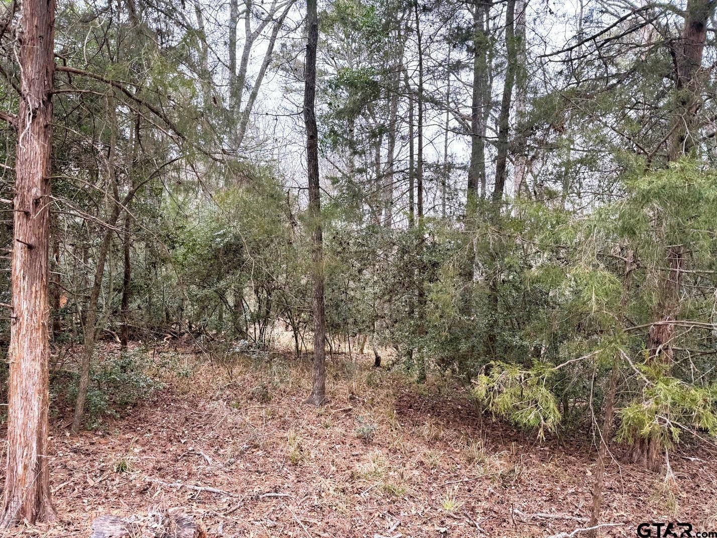 Lots 316 & 317 Brazos Bend