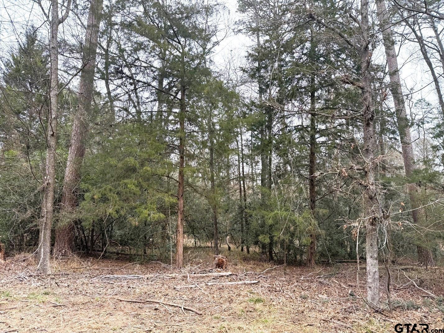 Lots 316 & 317 Brazos Bend