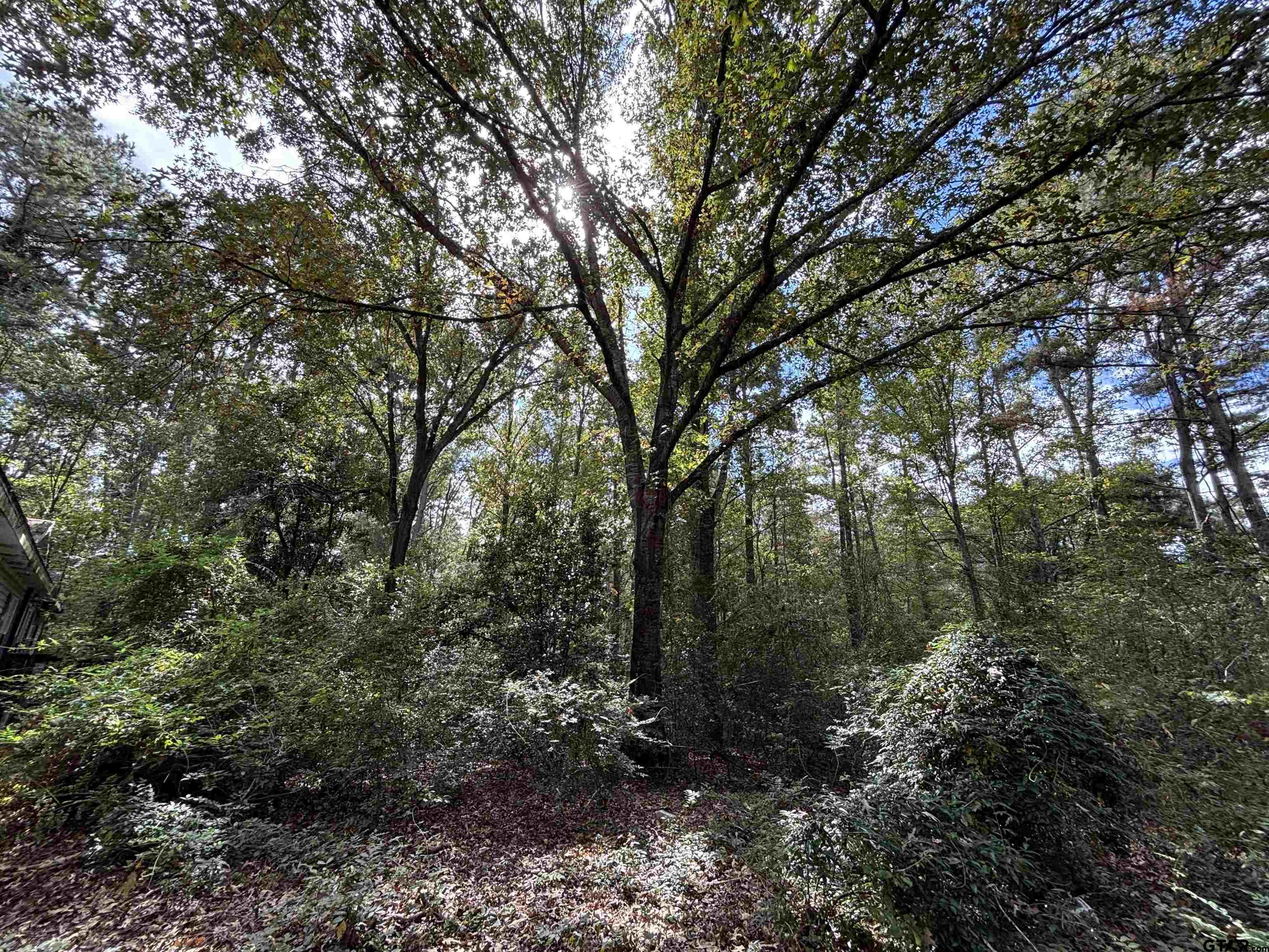 0 An County Road 4775