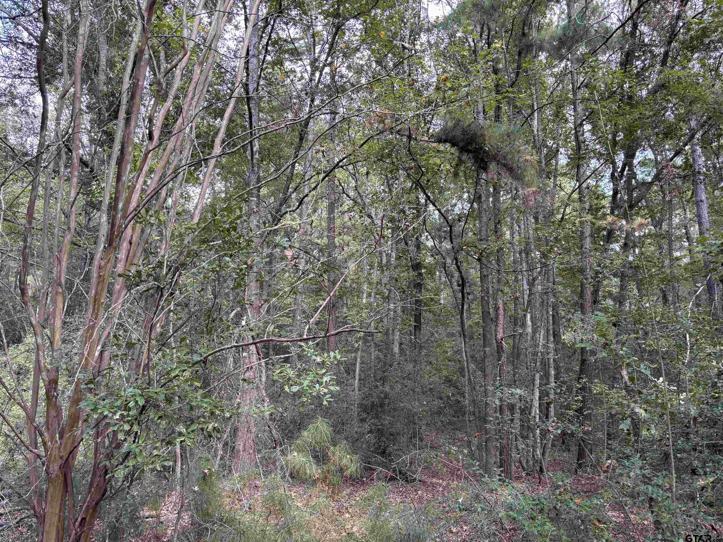 0 An County Road 4775