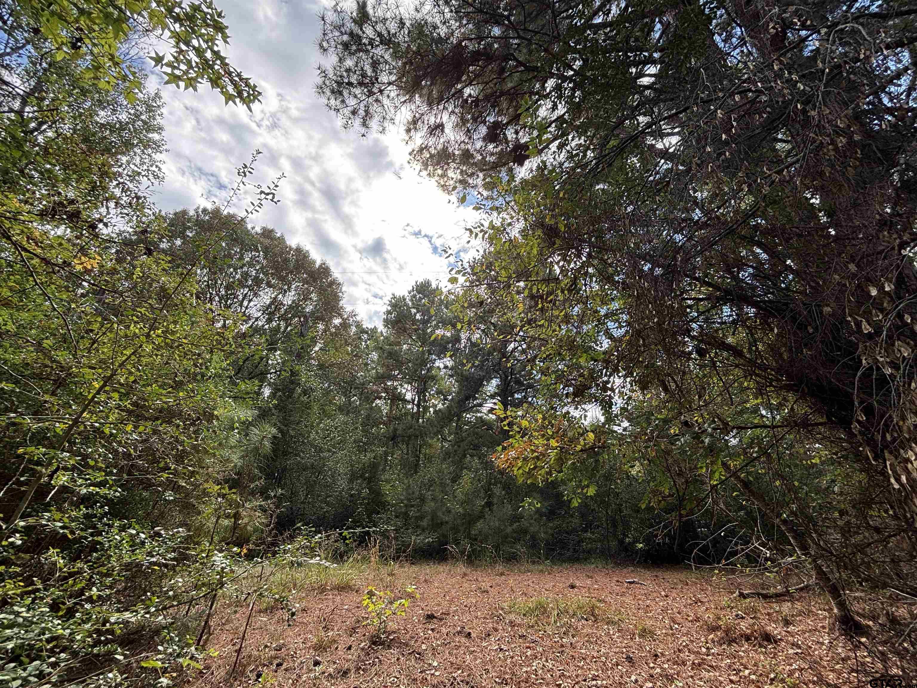 0 An County Road 4775