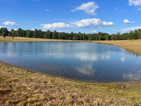 Tract 2 PR 6734 Avinger TX 75630