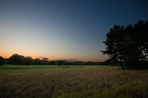 821 Gorman Oaks Big Sandy TX 75755