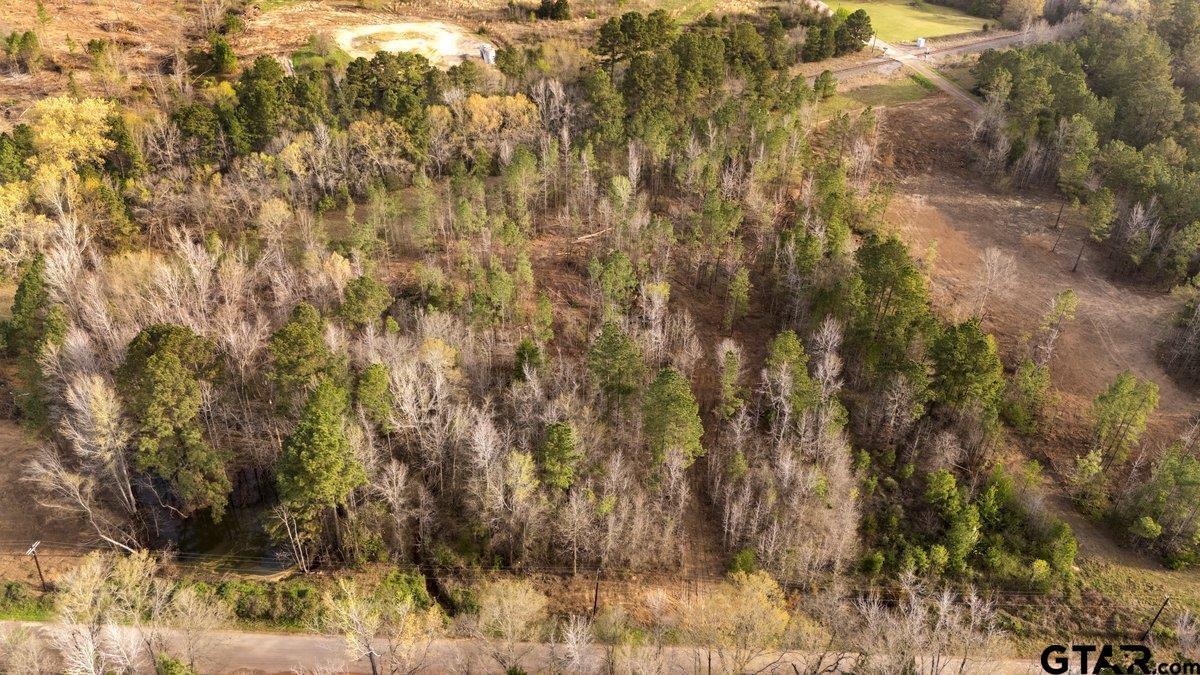 Troup, Texas 75789, United States, ,Land,Active,94727