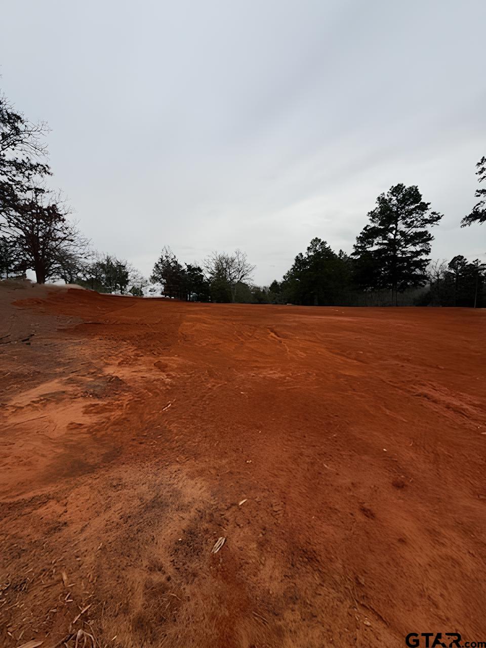 10433 County Road 1111