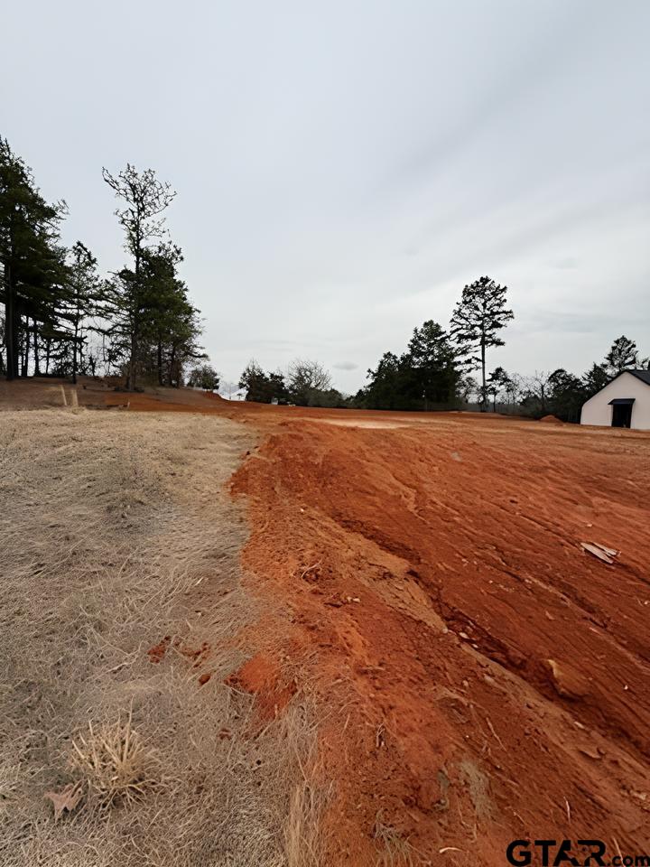 10433 County Road 1111