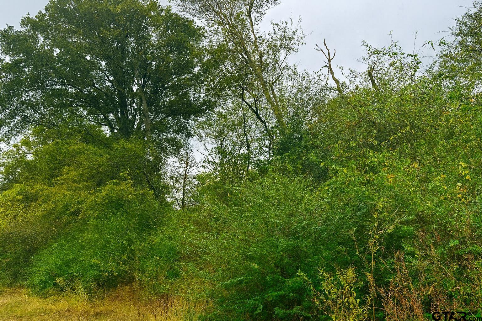 TBD 20.83 +- VZCR 1118