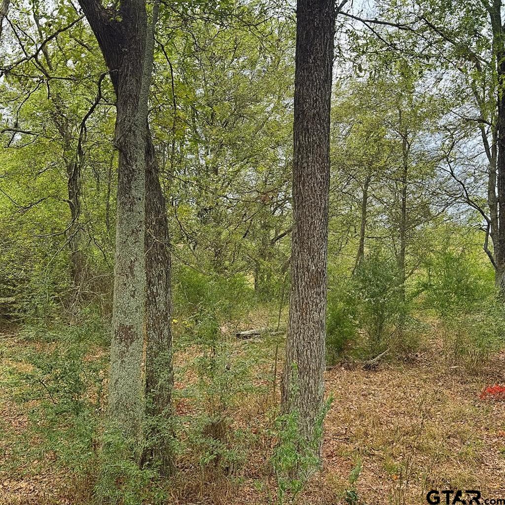 TBD 20.83 +- VZCR 1118