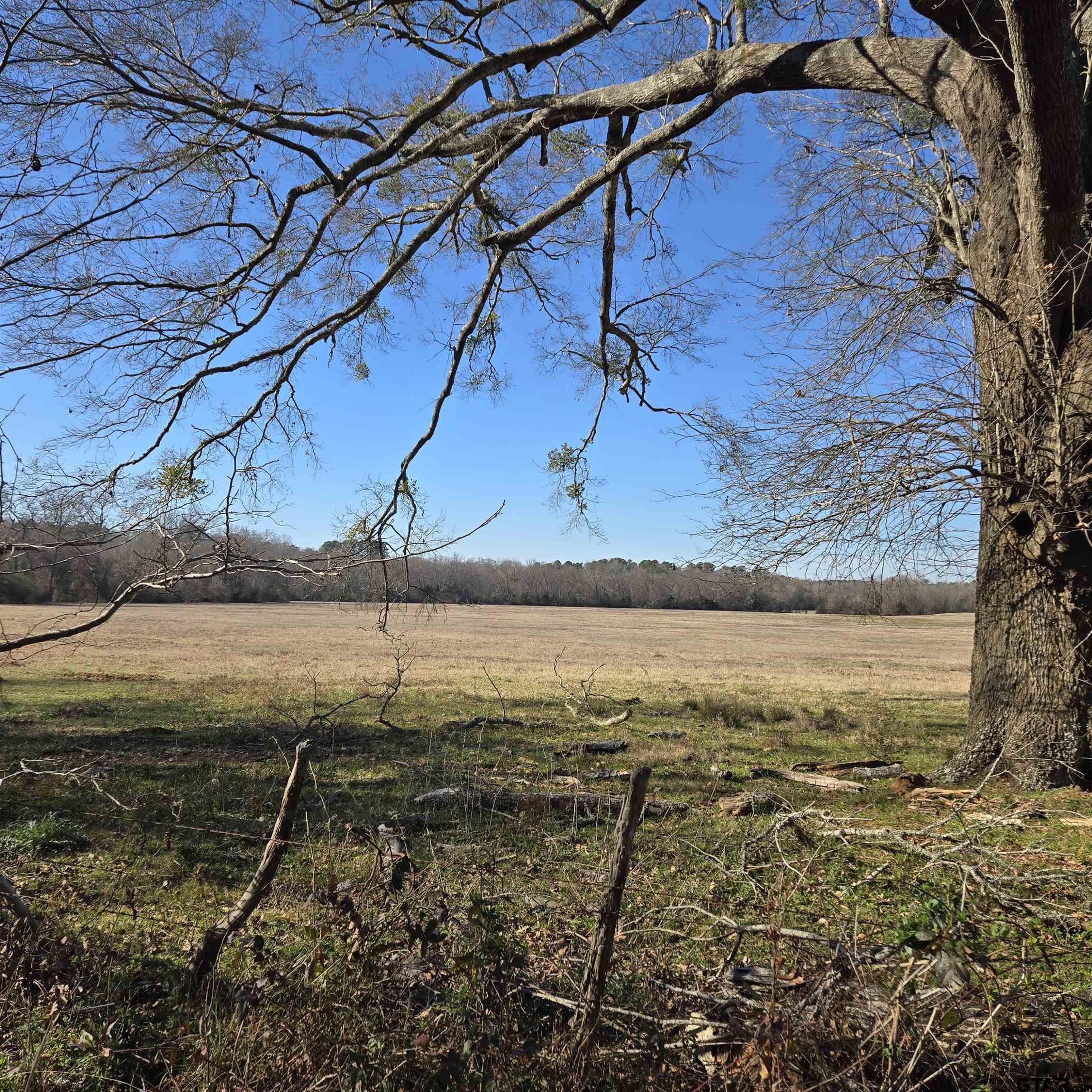 TBD COUNTY ROAD 1106