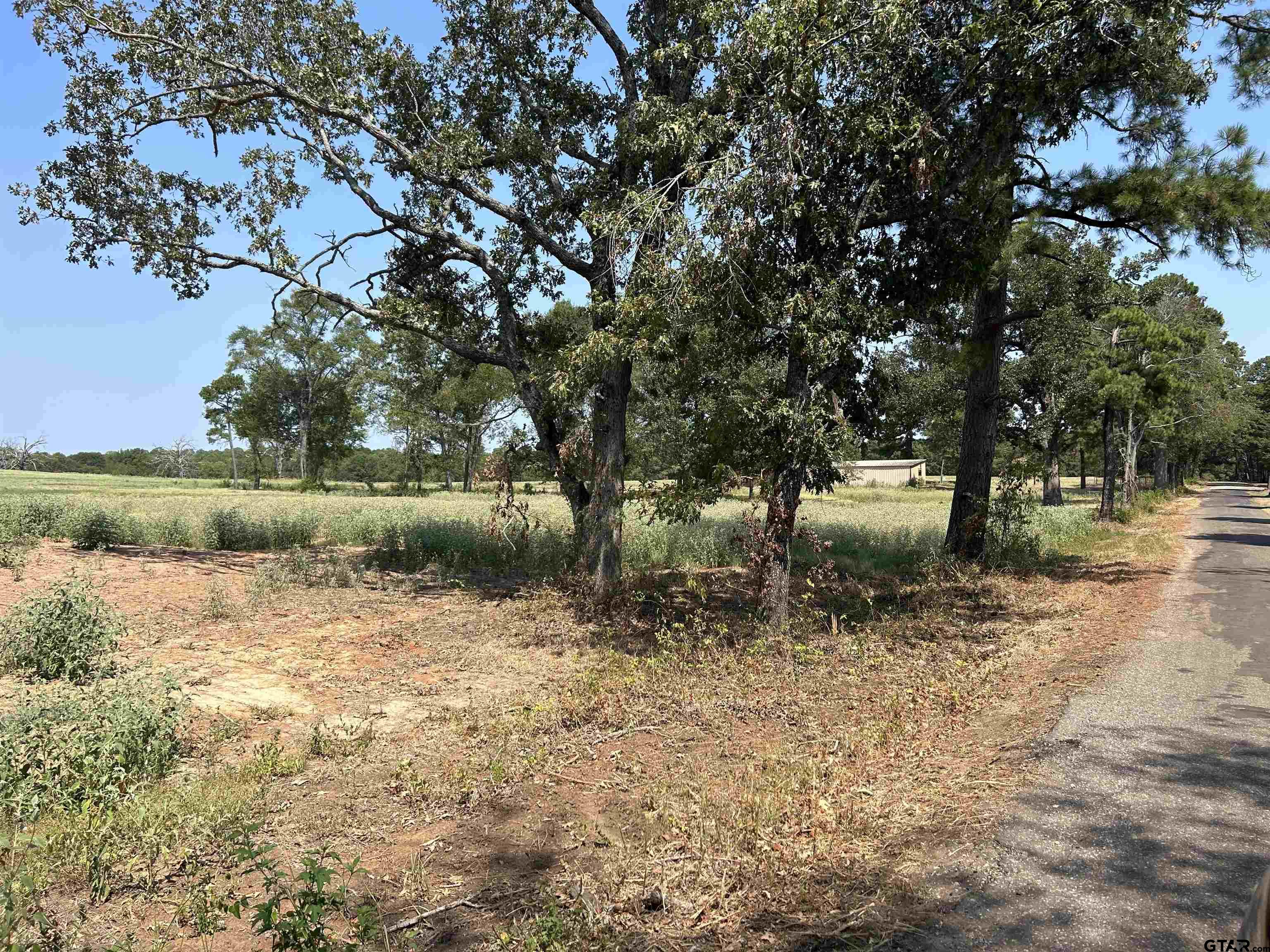 3.35 ACRES tbd COUNTY ROAD 2169