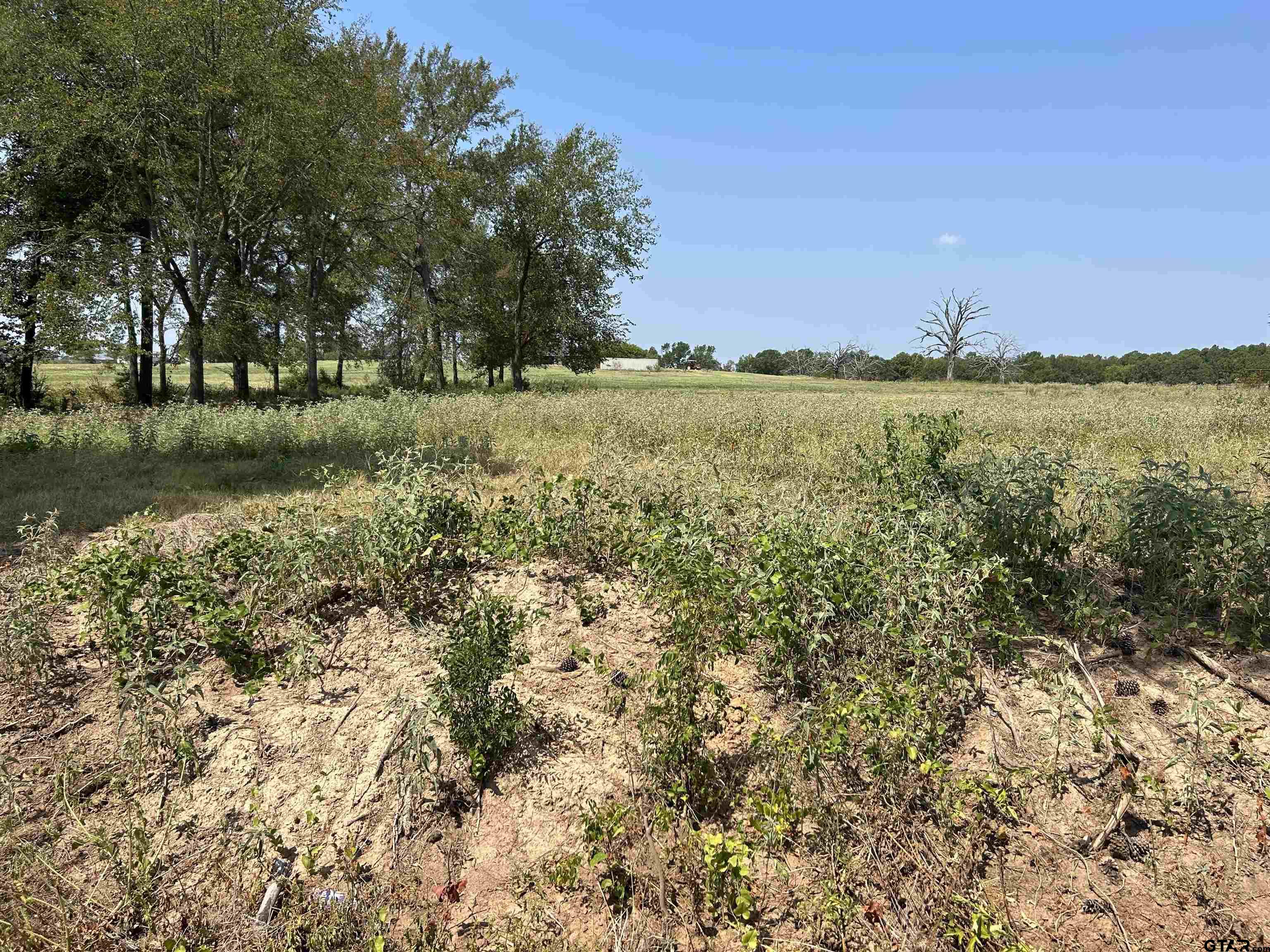 3.35 ACRES tbd COUNTY ROAD 2169