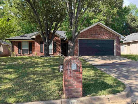 411 Frederick Circle Flint TX 75762